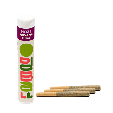 Oddball Haze Pre-Rolls | Havana Haze